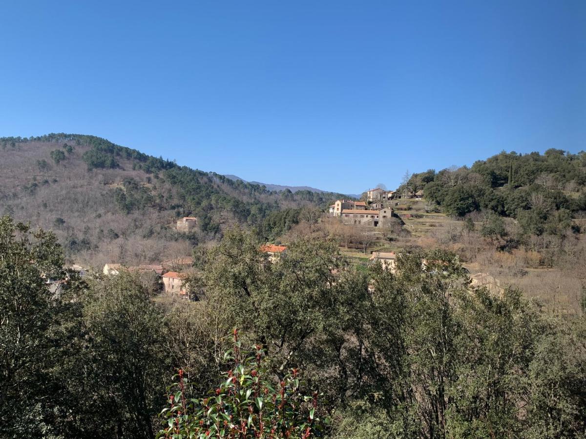 Villa Des Taillades Le Collet-de-Dèze المظهر الخارجي الصورة